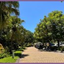 행복가득여행사 이미지