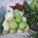 하늘농약사 이미지