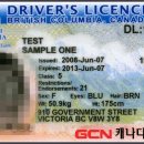 [캐나다어학연수] 국제운전면허증 - 캐나다 면허증으로 교체하기 이미지