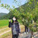 창선농장 이미지