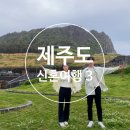 부촌회식당 | 제주도 여행_3일차 성산일출봉 신라호텔 수영장 짬뽕 현지 맛집 부촌 중문 횟집 색달바당