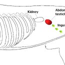 새싹 동물병원 이미지