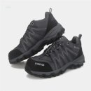 스콜피온 이미지