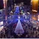 크리스마스 트리 축제 이미지