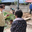 백암시장 이미지