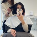 살롱드엘(SALON DE L)