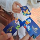 상동디디커피 | [상하이 3박4일✈️] 2일차 / 250522