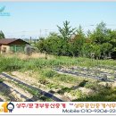 상주시 만산동 세무서앞 토지매매-상주세무서앞,상주부동산,상주부동산협회,상주토지,상주땅,상주문경부동산,문경랜드,문경토지,문경교차로,문경벼룩시장 이미지