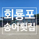 회룡포횟집 | 🐟 경북 예천 용궁 맛집! 회룡포송어횟집 포장리뷰 — 신선한 송어와 향어의 매력에 퐁당 빠지다.