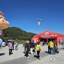 횡성한우축제장(섬강둔치) 이미지