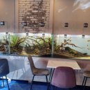 아쿠아 커피연구소 이미지