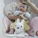 주식회사 내일약품 | [추천]Bruna Bon Bon mini 후쿠오카 육아용품 쇼핑(브루나봉봉점핑볼,부루나봉봉미니화이트,후쿠오카...