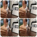 동원생수 사랑하게 되었어요 이미지