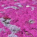 지리산생태체험단지 이미지