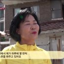 순이농장 이미지