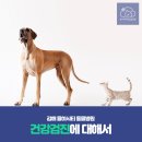 율하시티동물병원 이미지