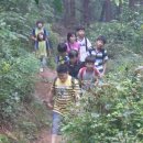 곡선초등학교 이미지