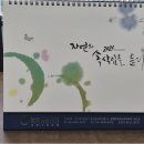 세무회계늘품
