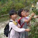 압해초등학교 이미지