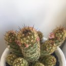 여주-0704 이미지