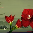 순환의바람으로부터 Daum카페