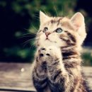 3원-天,地,人 이미지