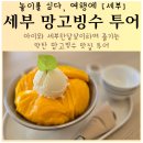 토핑스 - 강남구 | 아이와 세부한달살이와서 망고빙수 카페 투어하기 33oz cafe 제이파크리조트 snow cafe soom cafe...