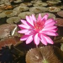 뻥튀기공원 이미지