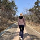 봄나들이 | 안산 바다향기수목원 봄나들이 트레킹 후기 | 선감도 여행 &amp; 대부해솔길 정보까지