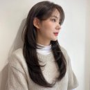 가로수헤어 - 목포시 | 가로수헤어