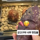 세븐일레븐 안성1공단 행복점 이미지