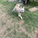 푼타하우스 이미지