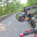 형제조류 이미지