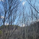 느티농원 이미지