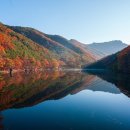 청송목장2 이미지