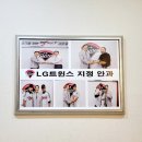 맑은눈안과의원 | 드림렌즈 성모맑은눈안과 시력교정 안과추천