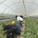 도포면사무소 이미지