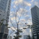 선민팩토리 | 인생 첫 출근길 지옥철을 타다_DAY01[유데미x스나이퍼팩토리 콘텐츠디자인 인턴형 프로그램 1기]