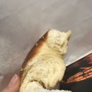 베이글작업실 네이버블로그