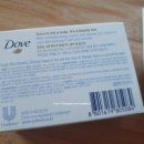 (주)바인터네셔널 이미지