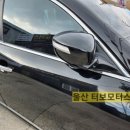 신진장 이미지