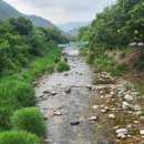 대추나무민박 이미지