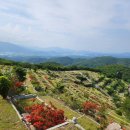 삼덕공원 앞 이미지