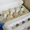 기러기민박 이미지