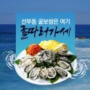 가세이야기 | [선부동맛집/선부동회식] 겨울엔 역시 굴보쌈이지 선부동 '굴따러가세' 내돈내먹 후기