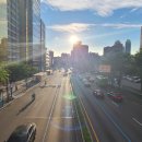 스테이 쉼 이미지