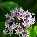 하늘정원2 이미지