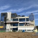 을왕리 조개구이 맛집 내돈내산 클린했던 청춘조개 후기