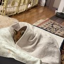 이재욱한의원 | [daily] 일상 23.01.30 ~ 02.08 (북한산 맛집, 카페, LCK, 용산아이파크몰, 튀르키예 시리아 강진 기부)