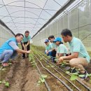 (주)코피아 이미지